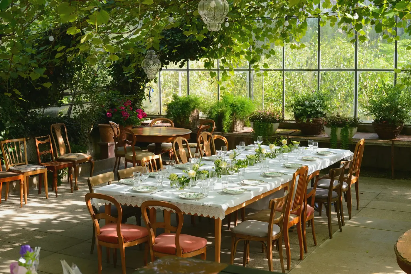 De Serre: een lange gedekte tafel tussen de planten, met daglicht door het glas