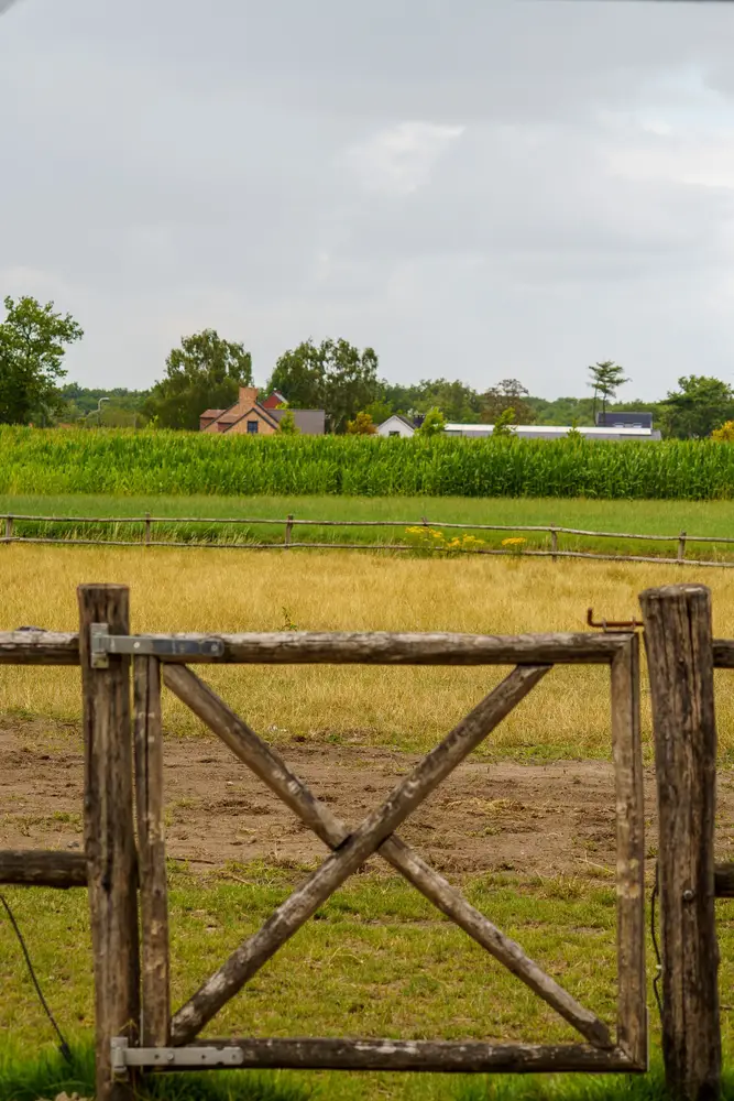 Velden en bomenrijen in de omgeving