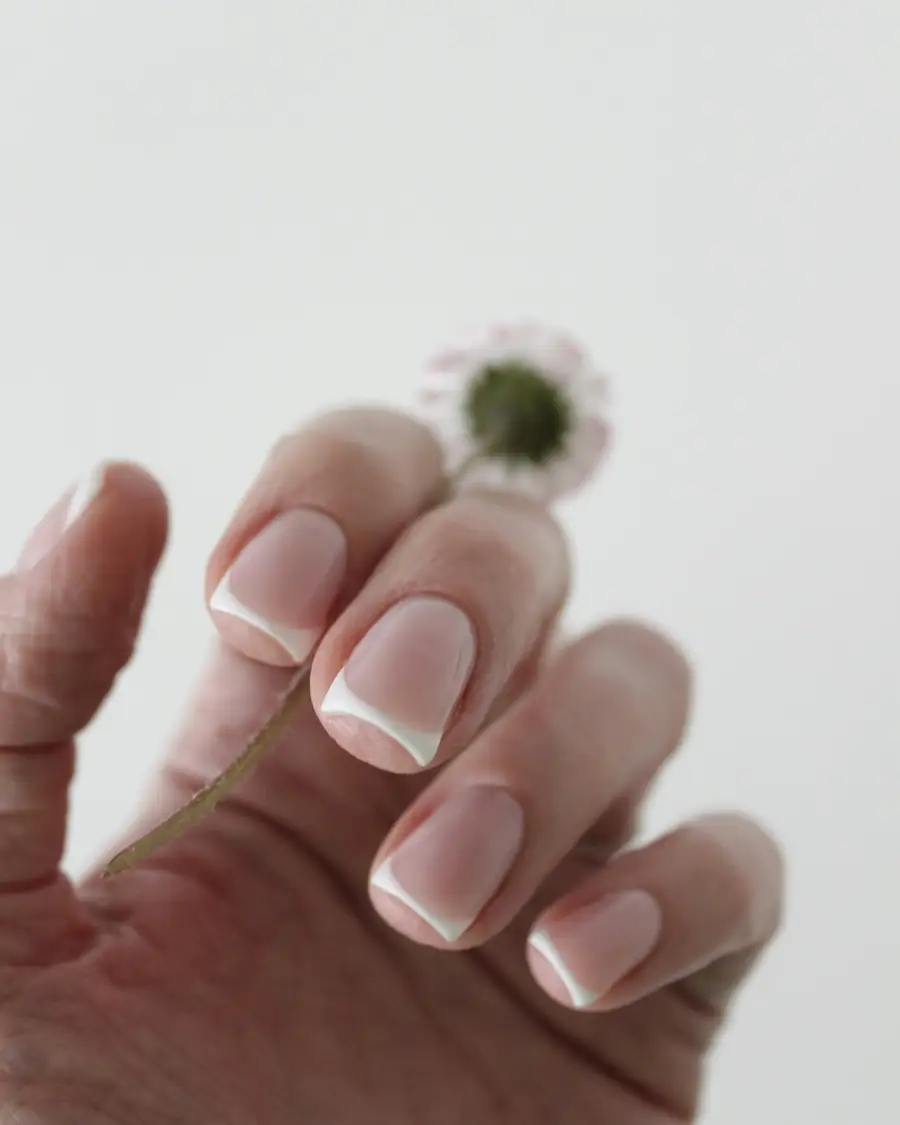 Een hand met een verzorgde french manicure houdt een madeliefje vast